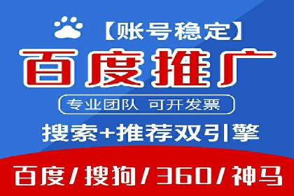 电商行业SEM运营的挑战与成功案例